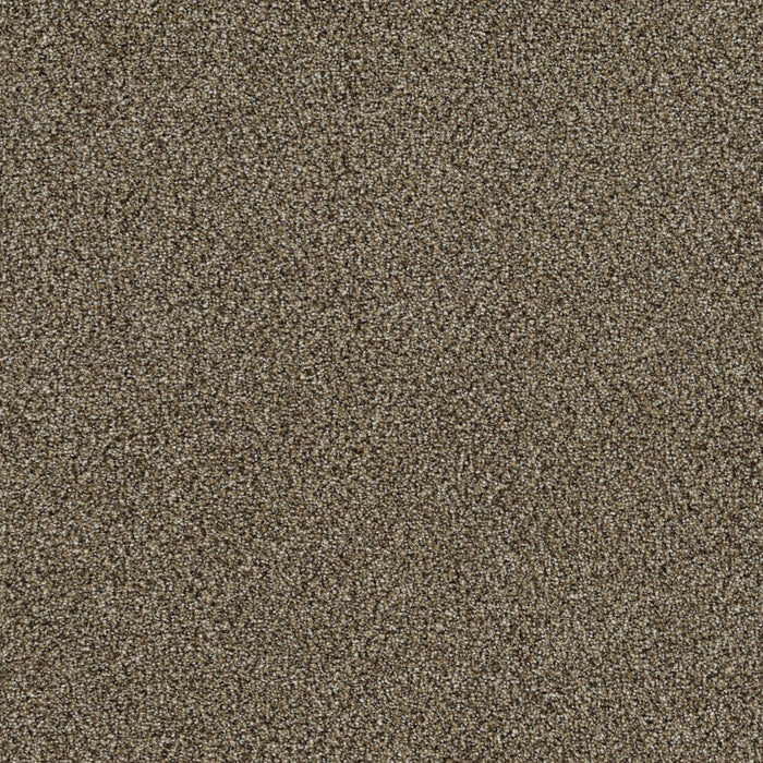 DreamWeaver - Mirage II - Carpet