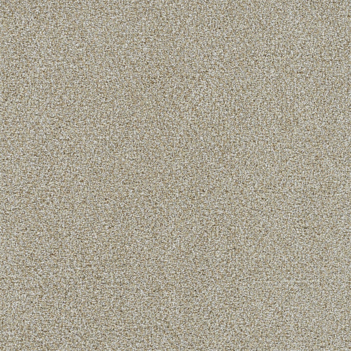 DreamWeaver - Mirage II - Carpet