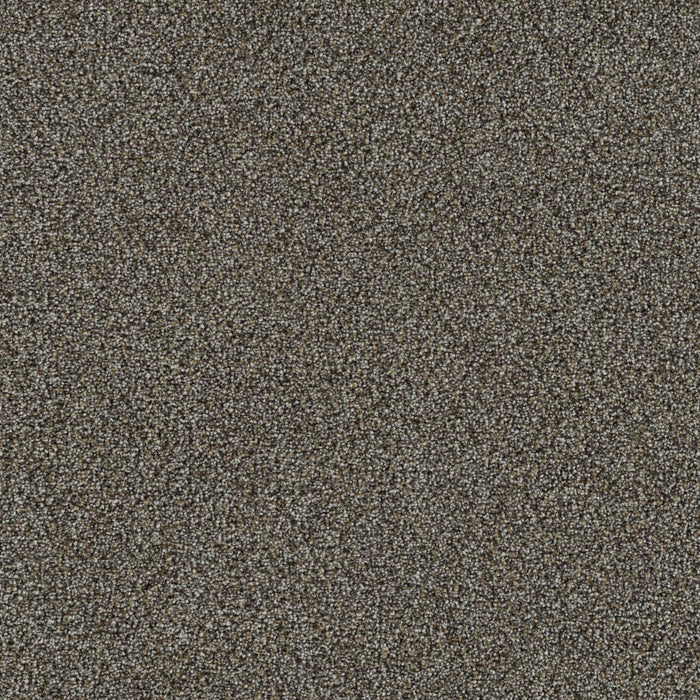 DreamWeaver - Mirage II - Carpet