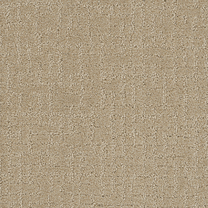 DreamWeaver - Modern Edge - Carpet