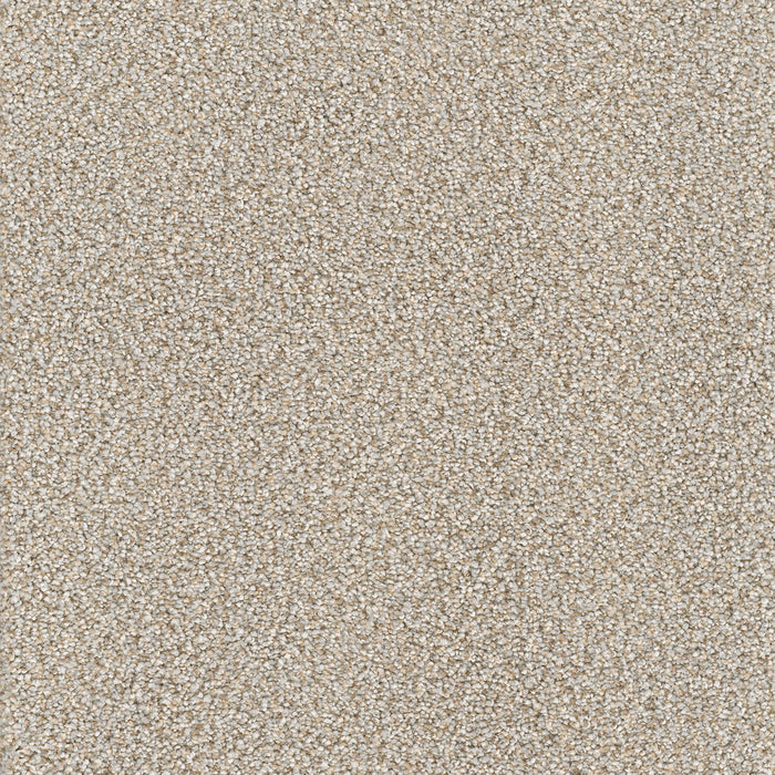 DreamWeaver - Montauk - Carpet