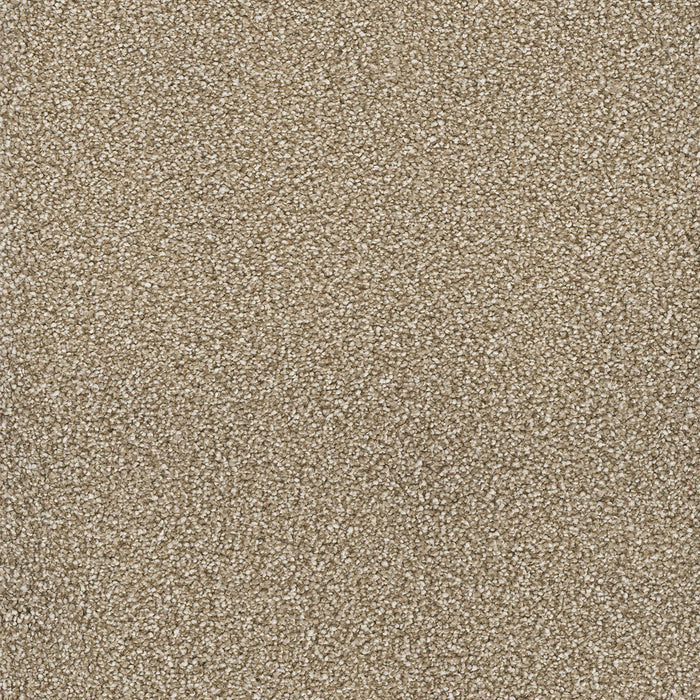 DreamWeaver - Montauk - Carpet