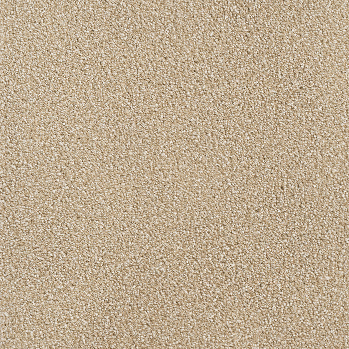 DreamWeaver - Montauk - Carpet