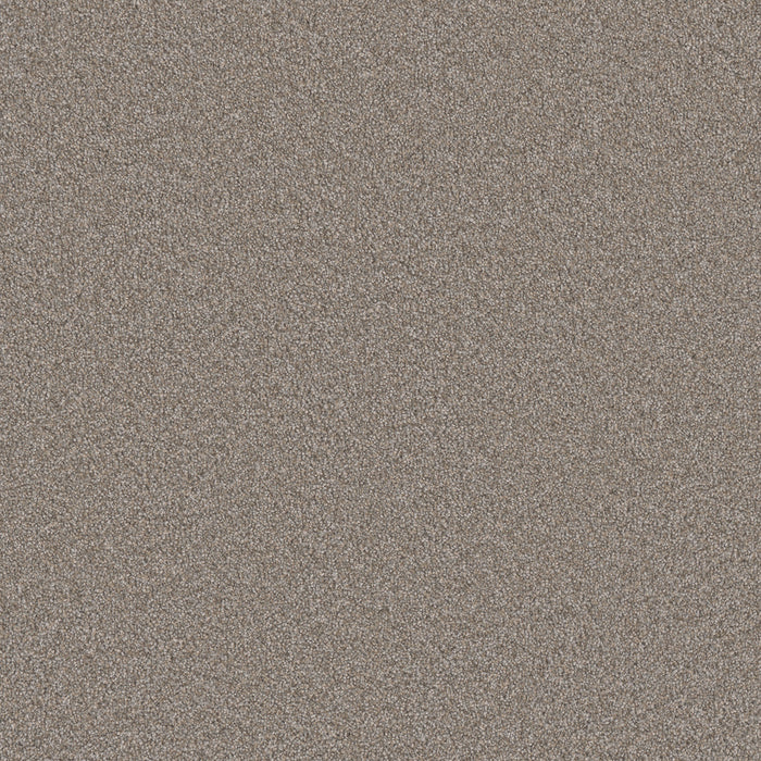 DreamWeaver - Monte Carlo I - Carpet