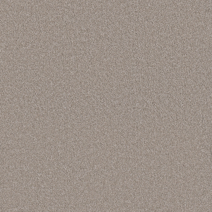 DreamWeaver - Monte Carlo I - Carpet