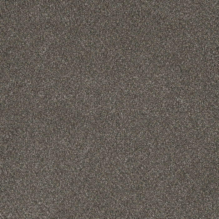 DreamWeaver - Monte Carlo I - Carpet