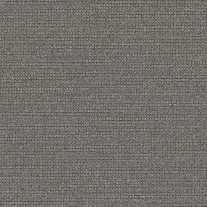 DreamWeaver - Montreal - Carpet