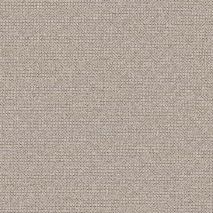 DreamWeaver - Montreal - Carpet