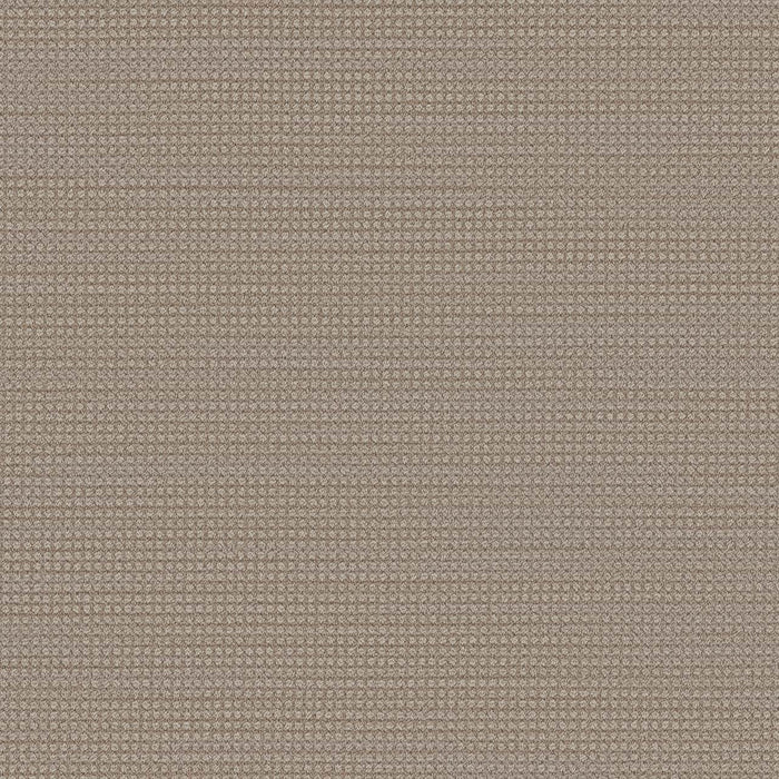 DreamWeaver - Montreal - Carpet