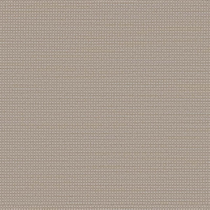 DreamWeaver - Montreal - Carpet