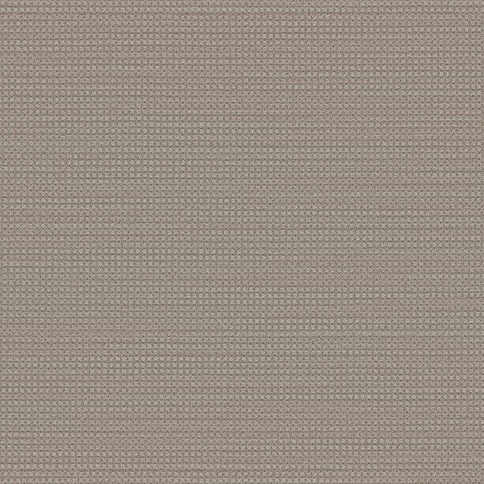 DreamWeaver - Montreal - Carpet