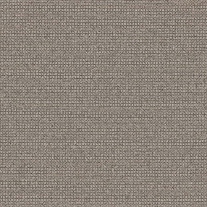 DreamWeaver - Montreal - Carpet