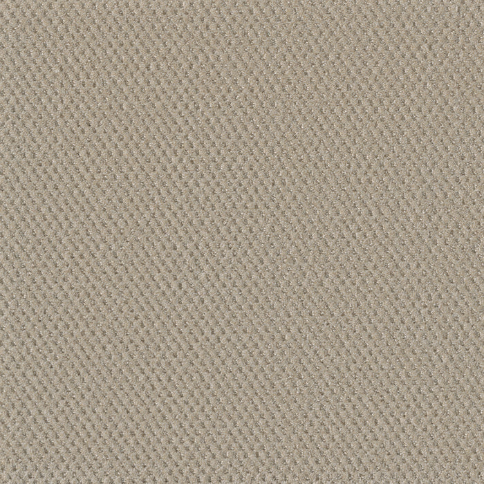 DreamWeaver - Moon Bay - Carpet