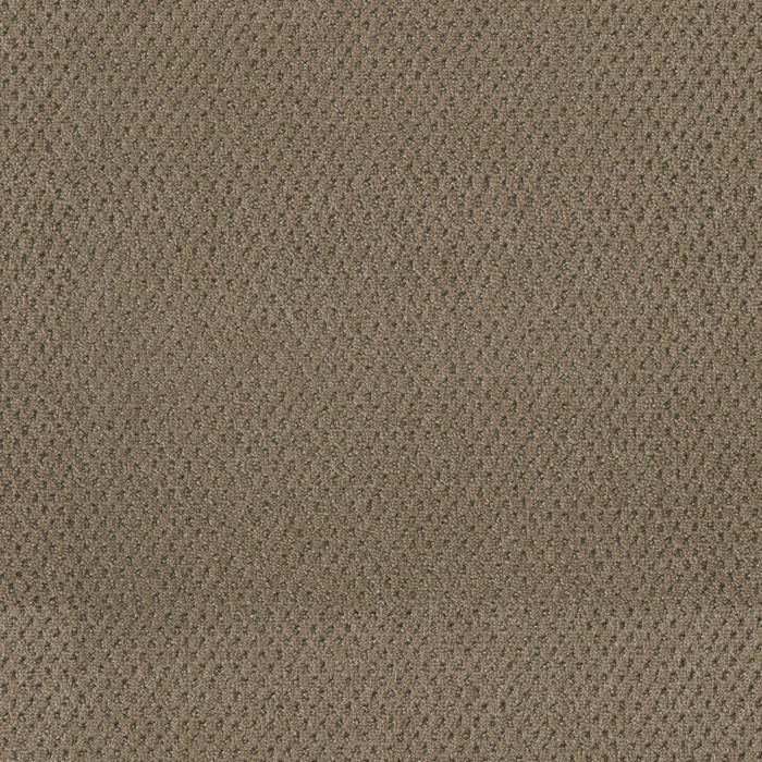 DreamWeaver - Moon Bay - Carpet