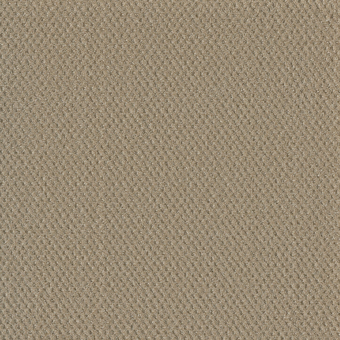 DreamWeaver - Moon Bay - Carpet