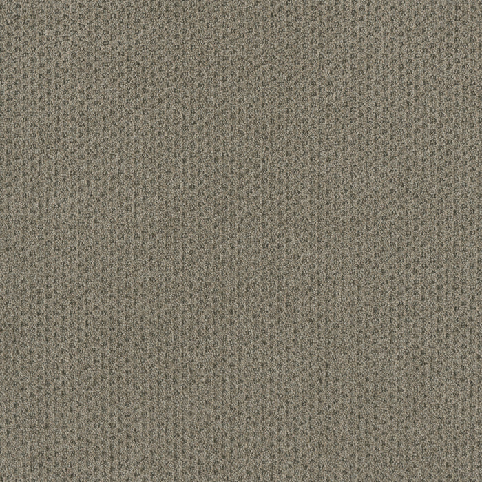 DreamWeaver - Moon Bay - Carpet