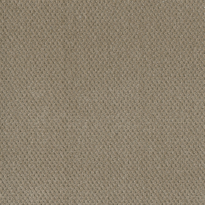 DreamWeaver - Moon Bay - Carpet