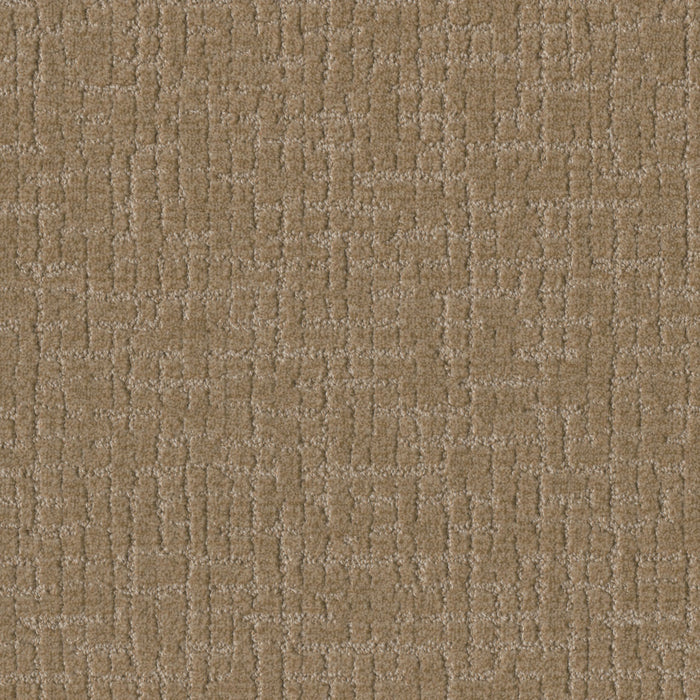 DreamWeaver - Natural Attraction - Carpet