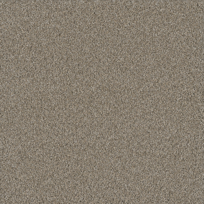 DreamWeaver - No Limits III - Carpet