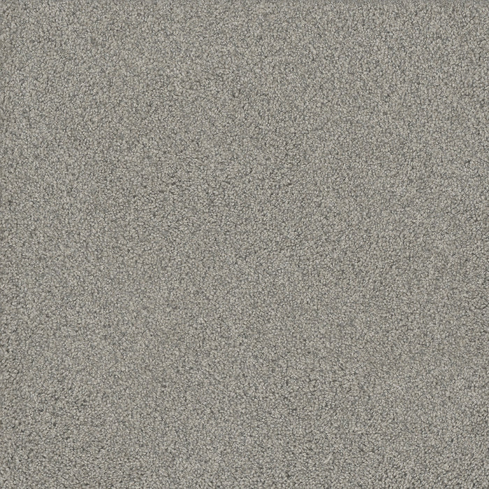 DreamWeaver - No Limits III - Carpet