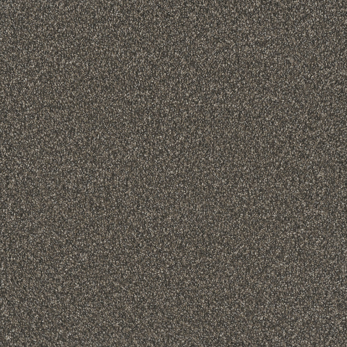 DreamWeaver - No Limits III - Carpet
