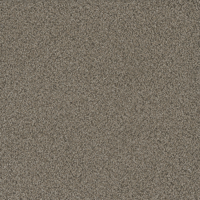 DreamWeaver - No Limits III - Carpet