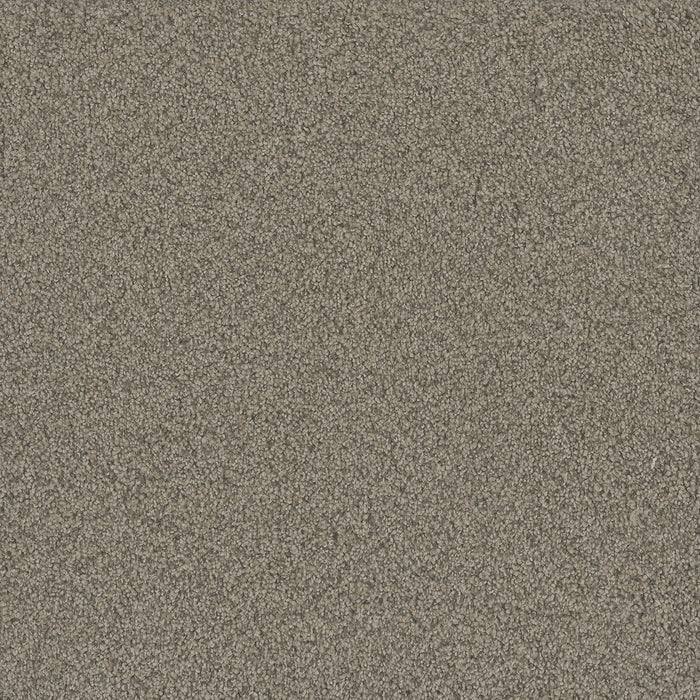 DreamWeaver - No Limits III - Carpet