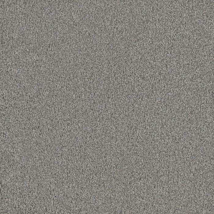 DreamWeaver - No Limits III - Carpet