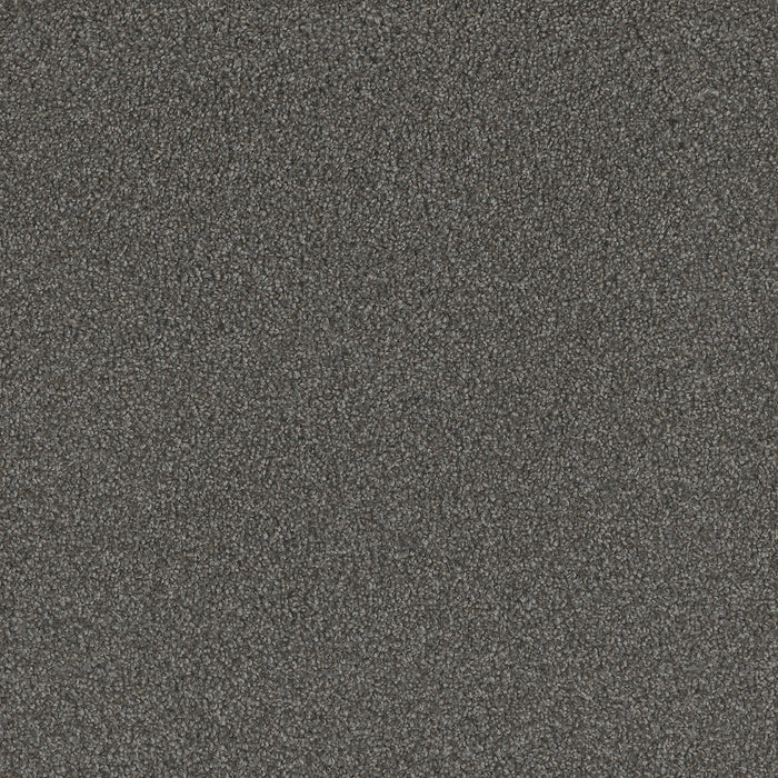 DreamWeaver - No Limits III - Carpet