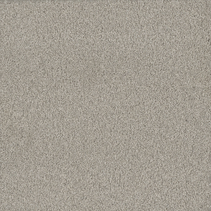 DreamWeaver - No Limits III - Carpet