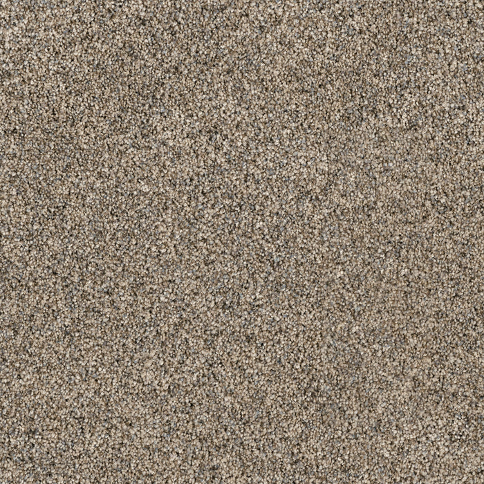 DreamWeaver - Parade - Carpet