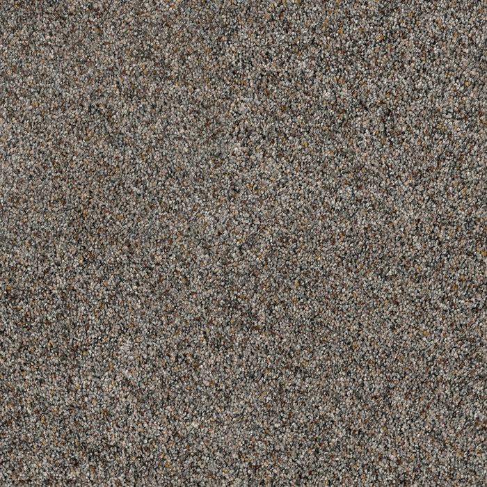 DreamWeaver - Parade - Carpet