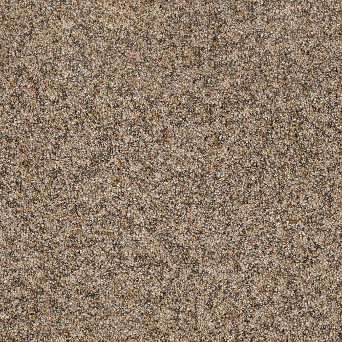 DreamWeaver - Parade - Carpet