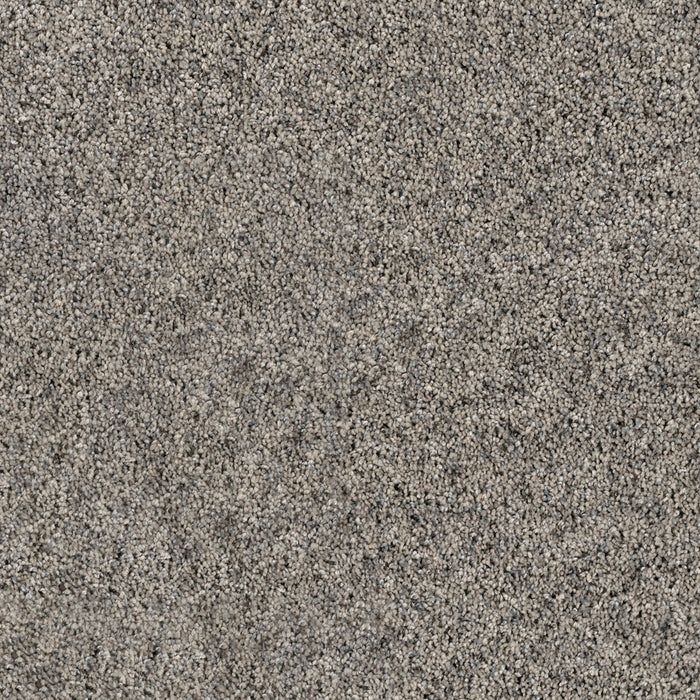 DreamWeaver - Parade - Carpet