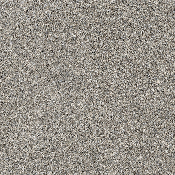 DreamWeaver - Parade - Carpet