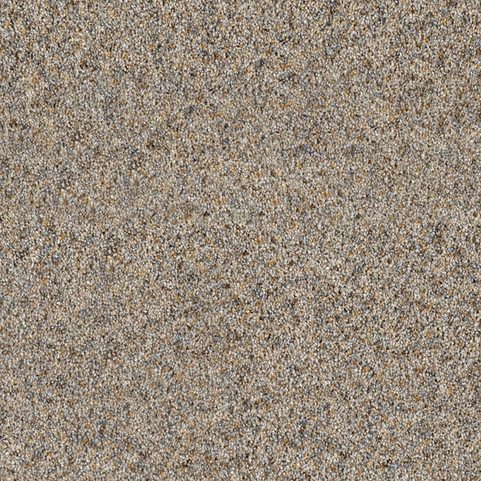 DreamWeaver - Parade - Carpet