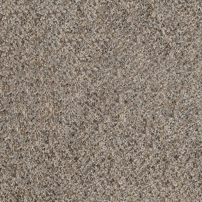 DreamWeaver - Parade - Carpet
