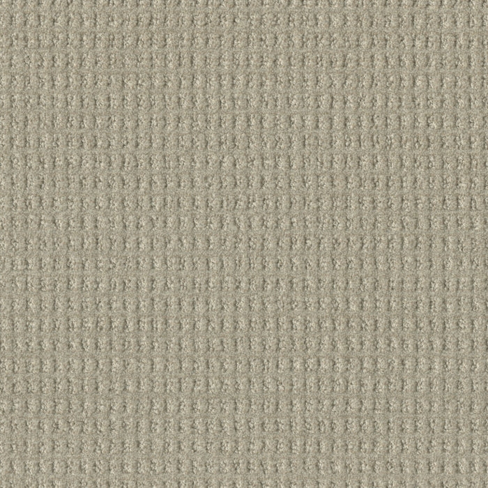 DreamWeaver - Perfect Balance - Carpet
