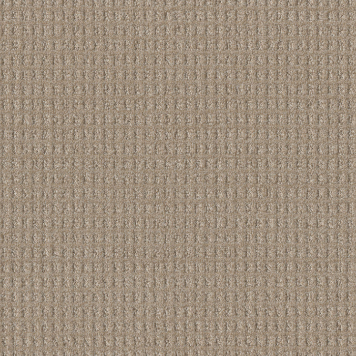 DreamWeaver - Perfect Balance - Carpet
