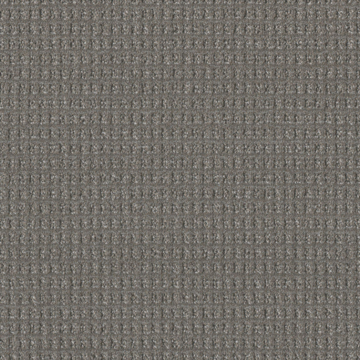 DreamWeaver - Perfect Balance - Carpet