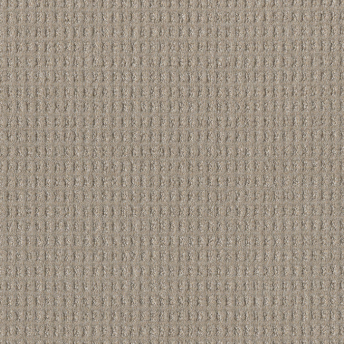 DreamWeaver - Perfect Balance - Carpet