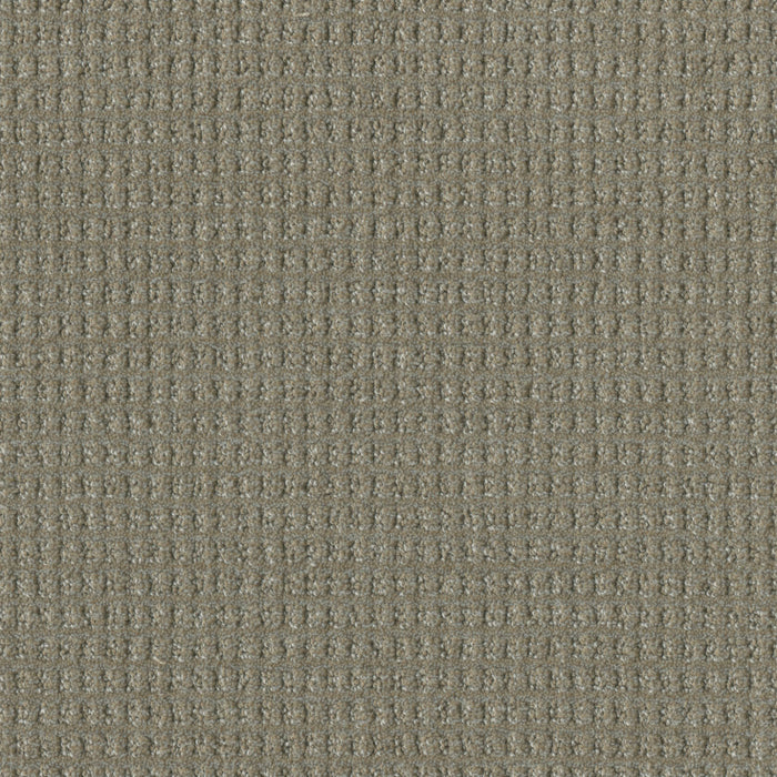DreamWeaver - Perfect Balance - Carpet