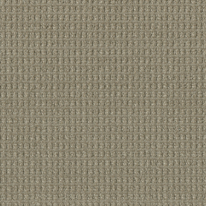 DreamWeaver - Perfect Balance - Carpet