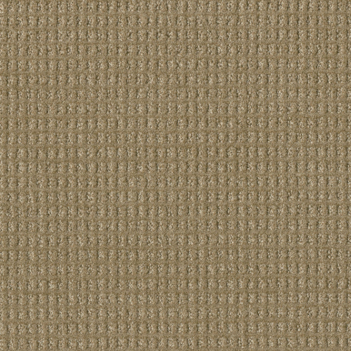 DreamWeaver - Perfect Balance - Carpet