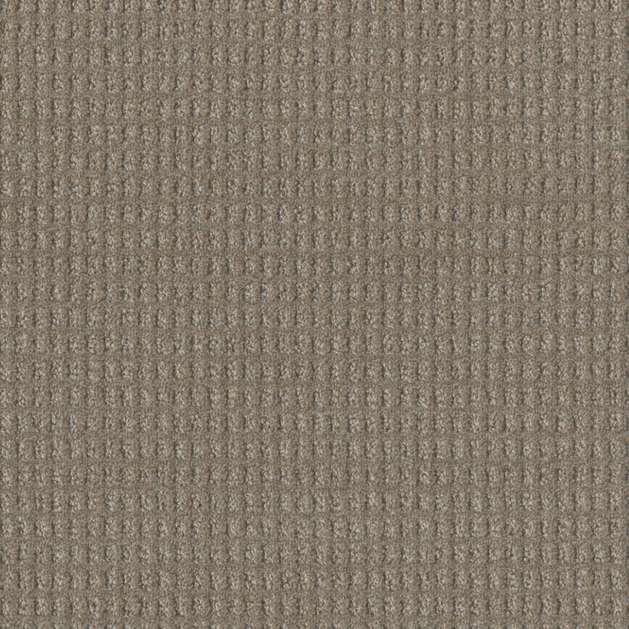 DreamWeaver - Perfect Balance - Carpet