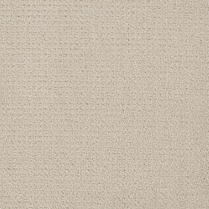 DreamWeaver - Pinpoint - Carpet