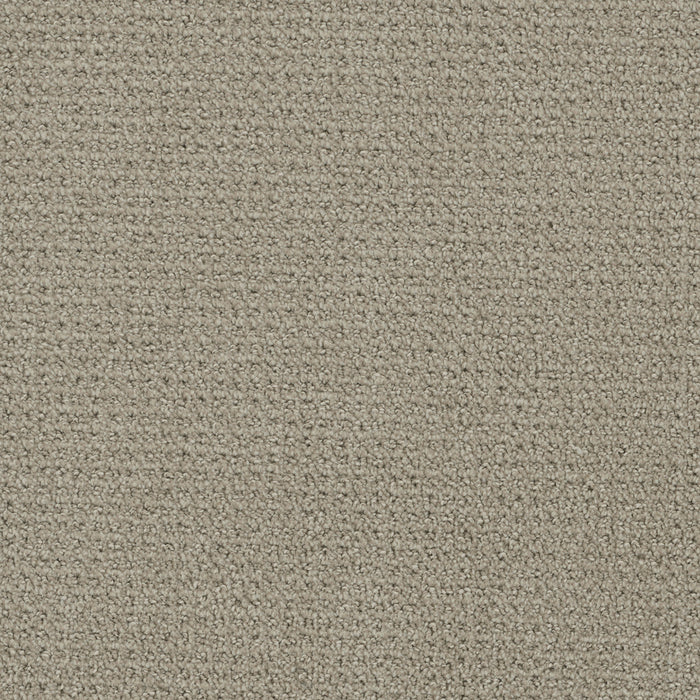 DreamWeaver - Pinpoint - Carpet