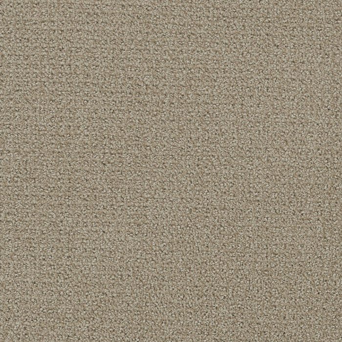 DreamWeaver - Pinpoint - Carpet