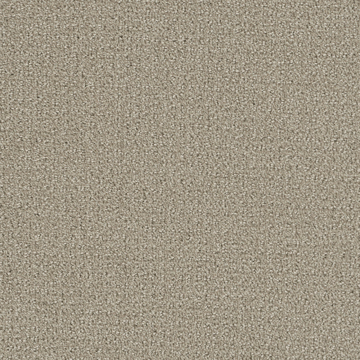 DreamWeaver - Pinpoint - Carpet