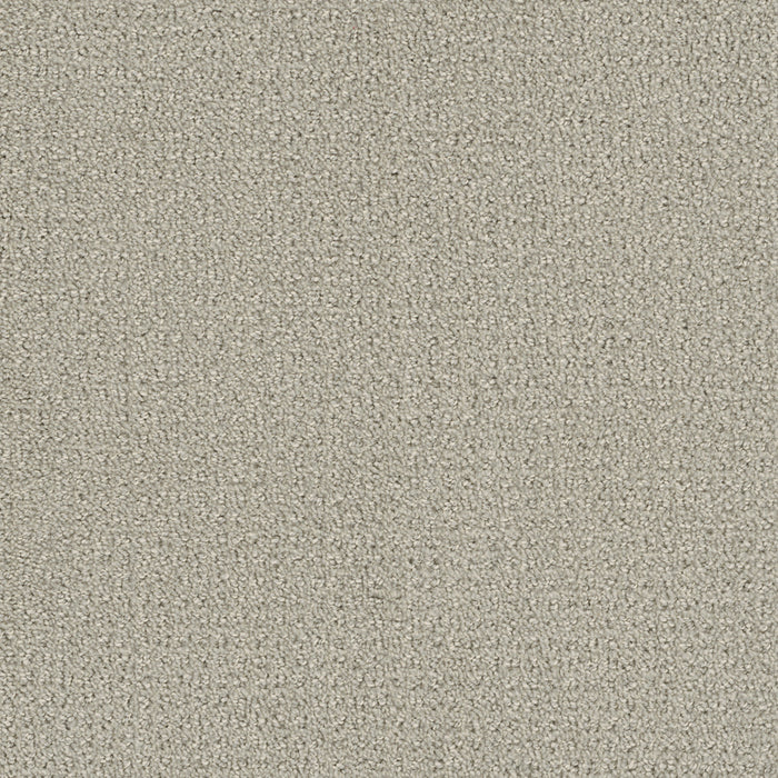 DreamWeaver - Pinpoint - Carpet